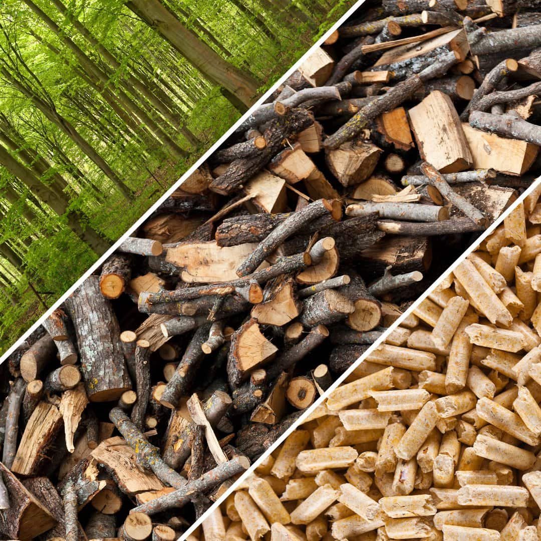 Biomasa: Energía Verde de Residuos Orgánicos